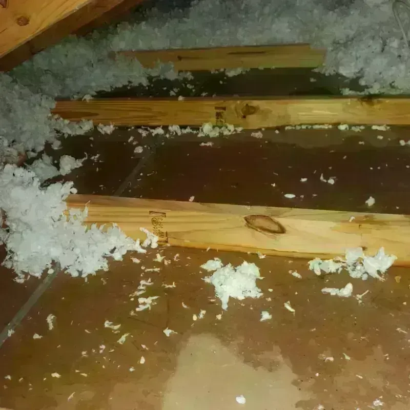 Attic Water Damage in Riverton, UT